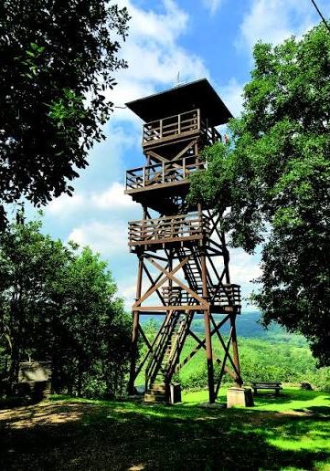 Wooden lookout tower in the woods